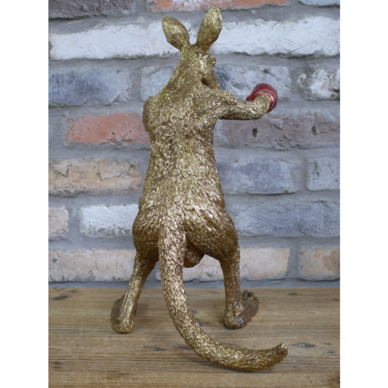 Kangaroo Boxer-3