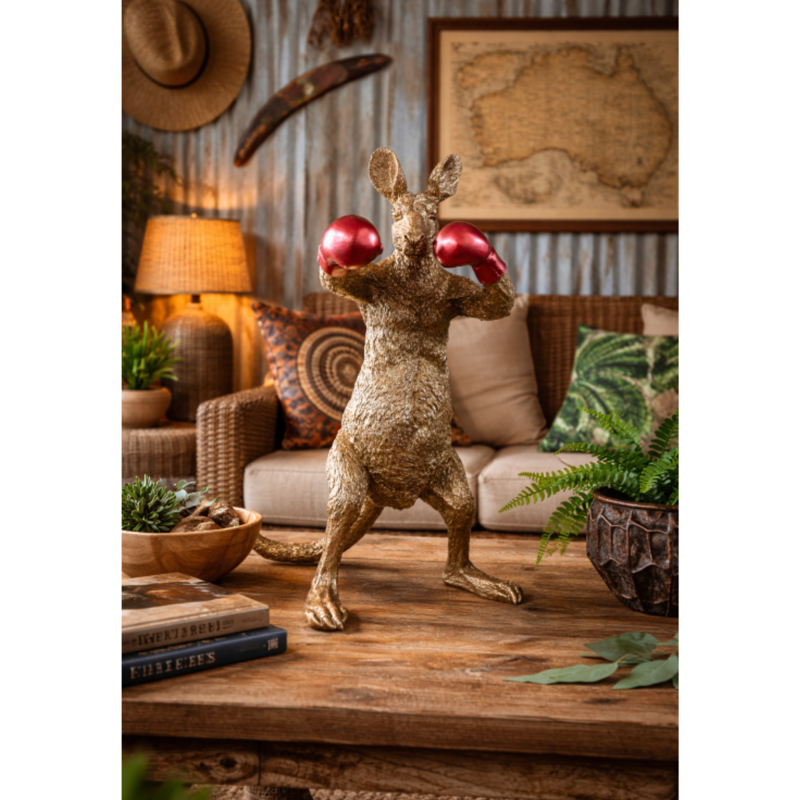 Kangaroo Boxer-4
