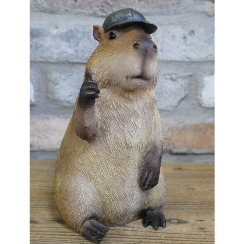 Thumb Up Capybara