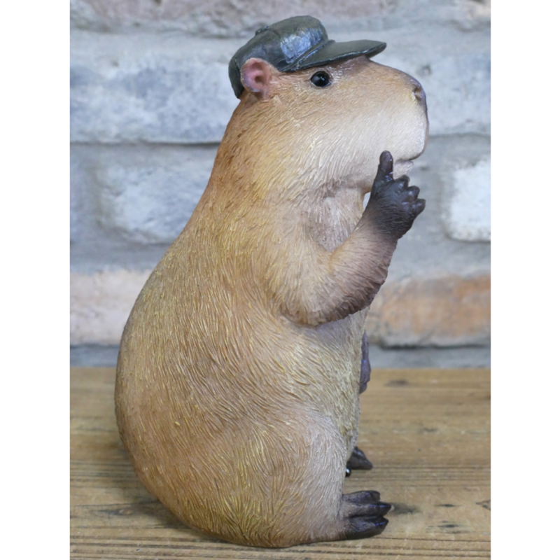 Thumb Up Capybara-1