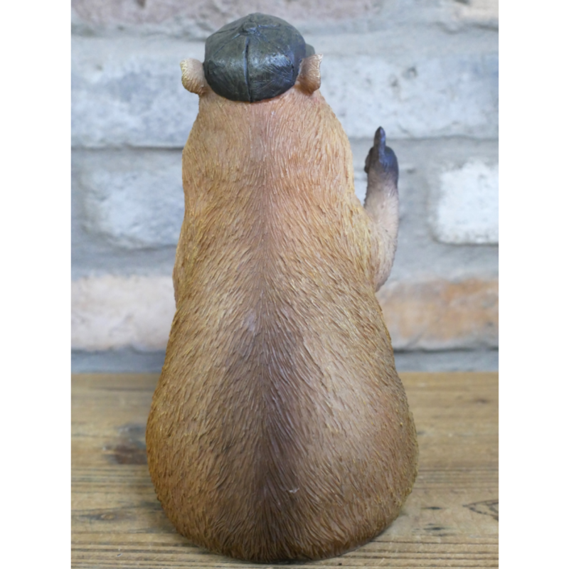 Thumb Up Capybara-2