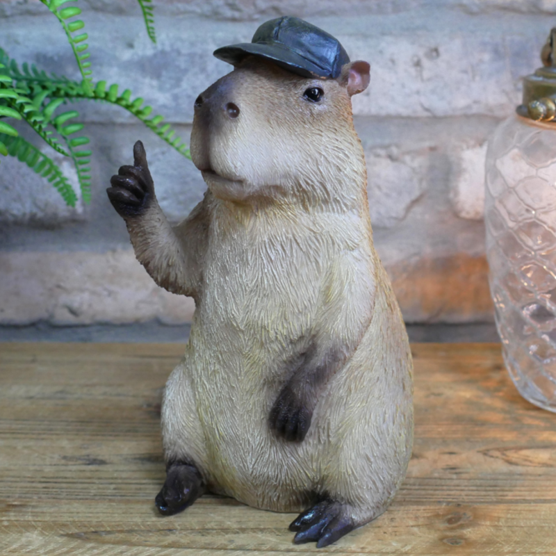 Thumb Up Capybara-4