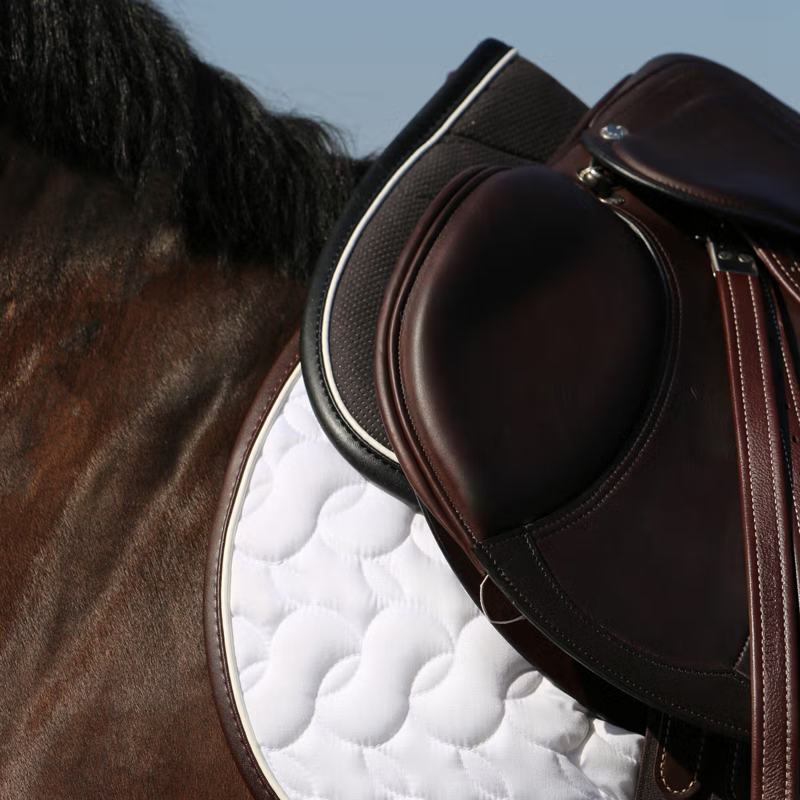 Kentucky Anatomic Absorb Half Pad - Black/Black-3