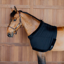 Kentucky Chest Protection - Black