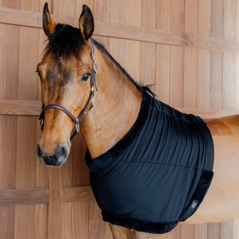 Kentucky Chest Protection - Black-1