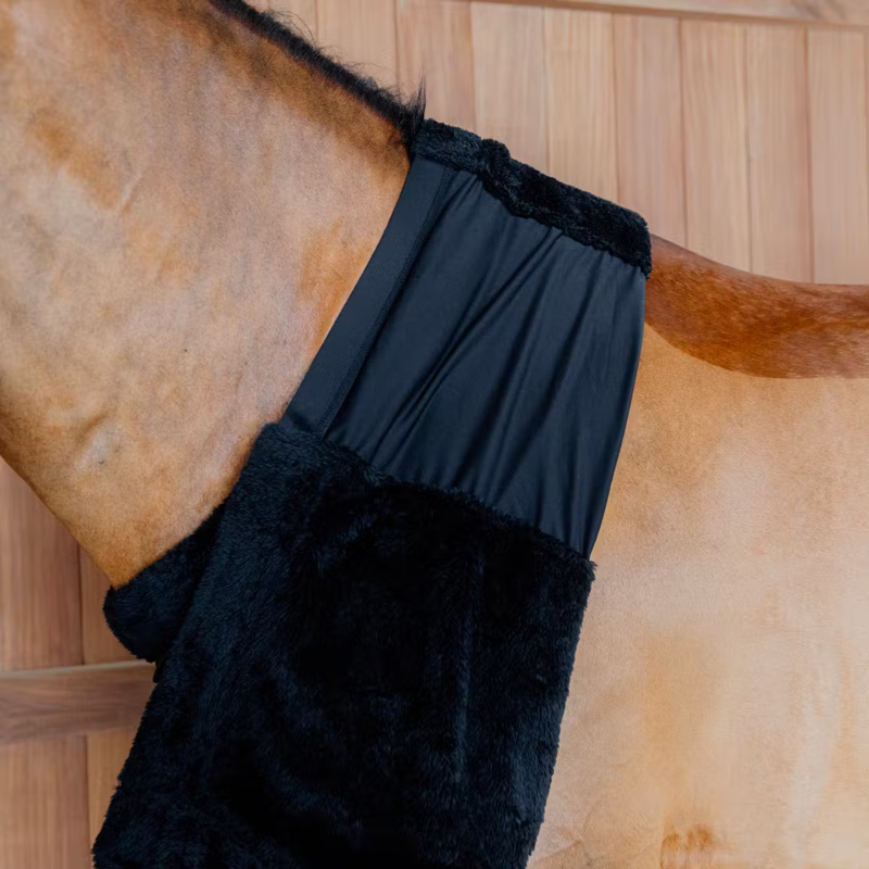 Kentucky Chest Protection - Black-2