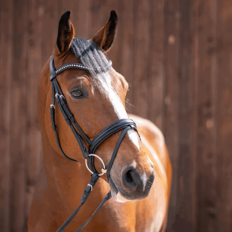 Sprenger Novocontact Loose Ring Snaffle 14mm Single Jointed Sensogan-1
