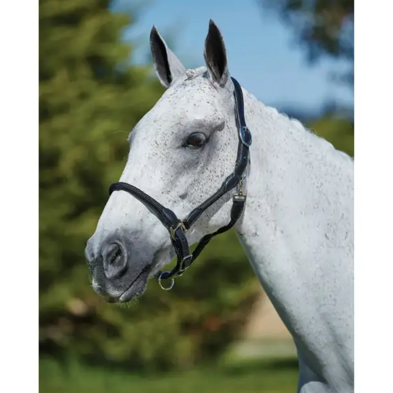 Kincade Leather Rope Headcollar - Black