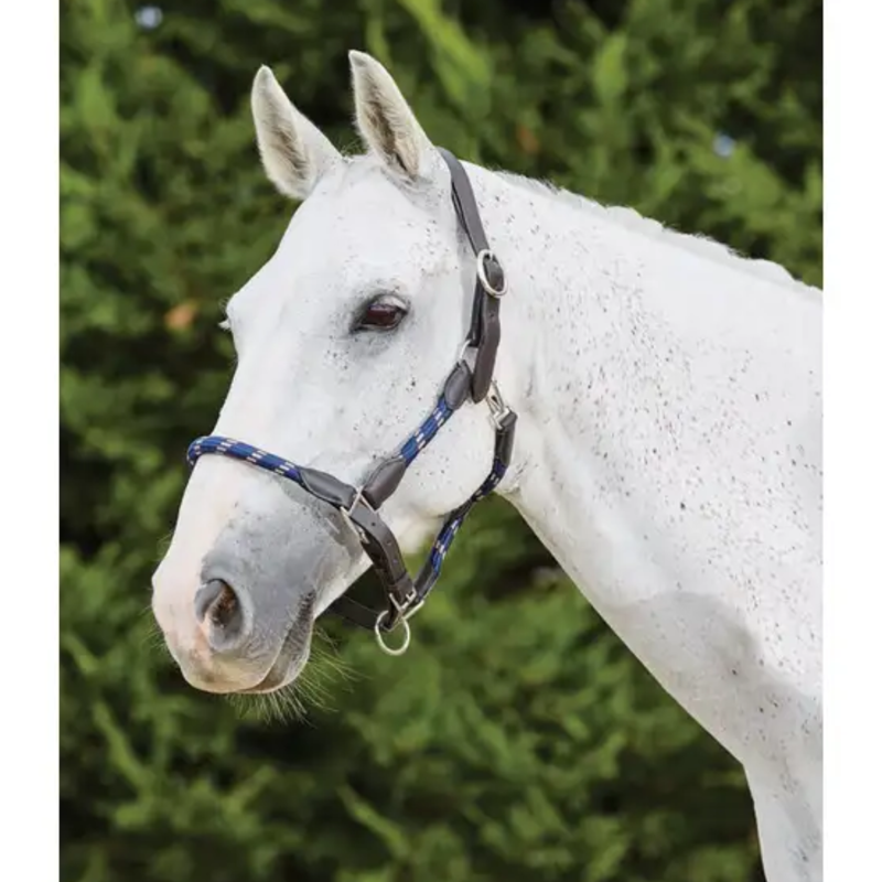 Kincade Leather Rope Headcollar - Navy/Brown