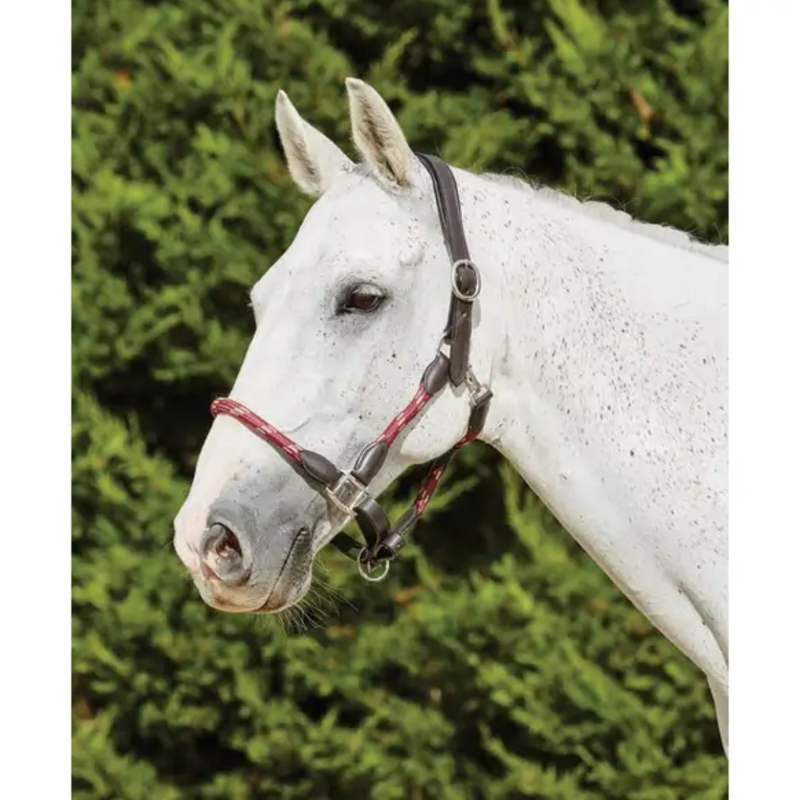 Kincade Leather Rope Headcollar - Burgundy/Brown