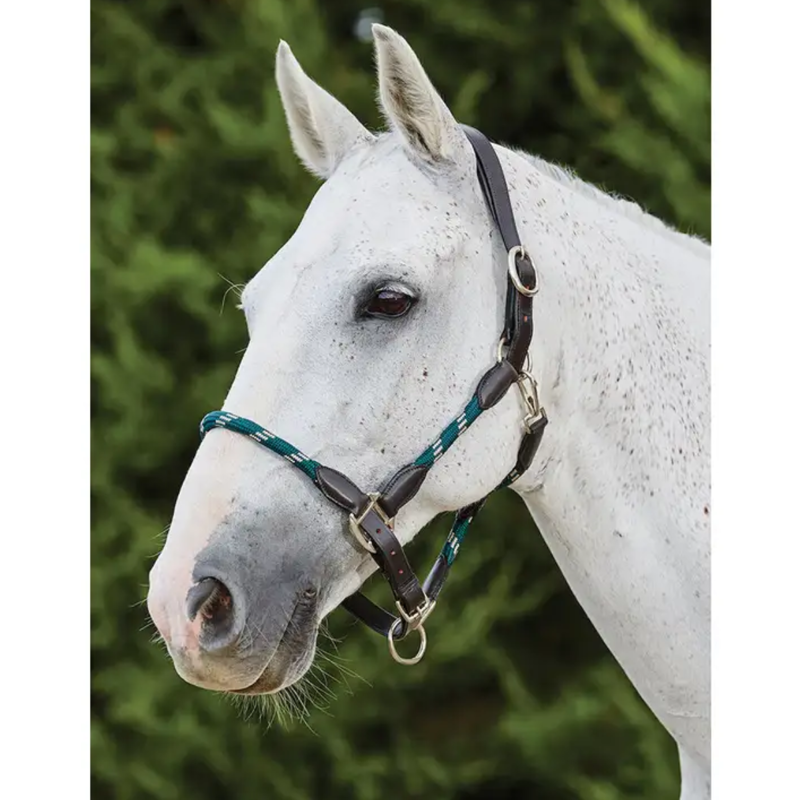 Kincade Leather Rope Headcollar - Green/Brown