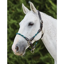 Kincade Leather Rope Headcollar - Green/Brown