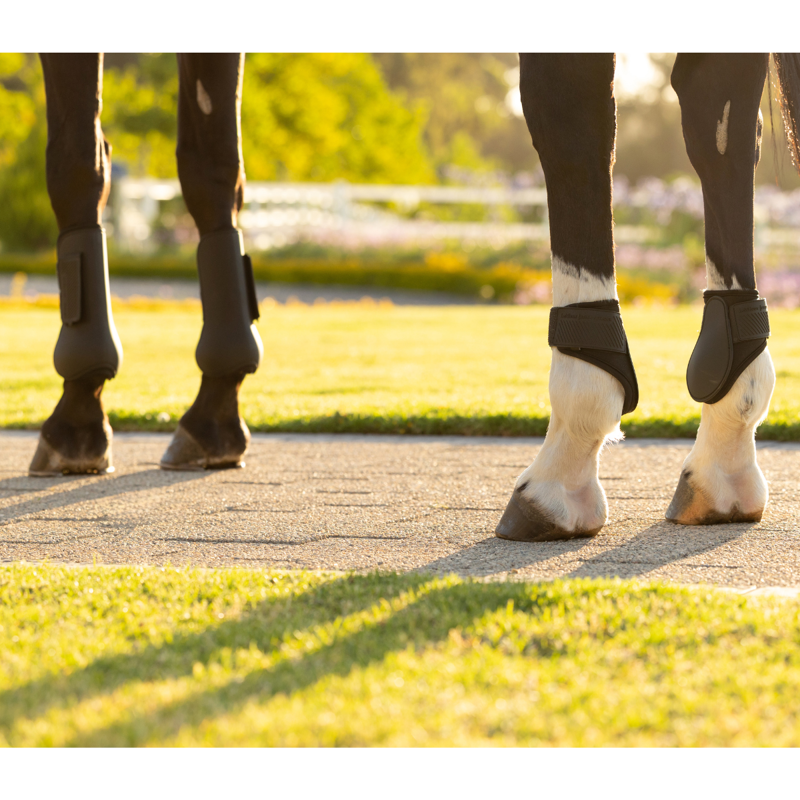 LeMieux Arika Fetlock Boot - Black-2