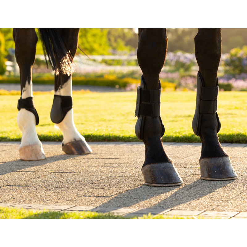 LeMieux Arika Tendon Boot - Black-2