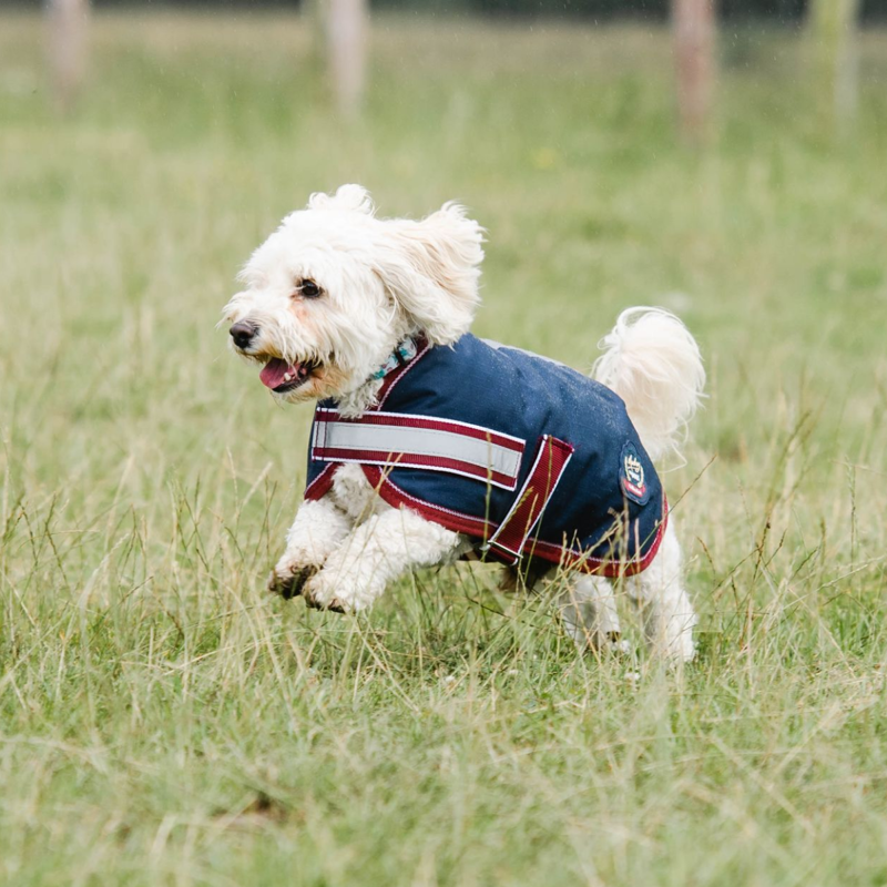 Mackey Buster Dog Coat - Navy/Burgundy