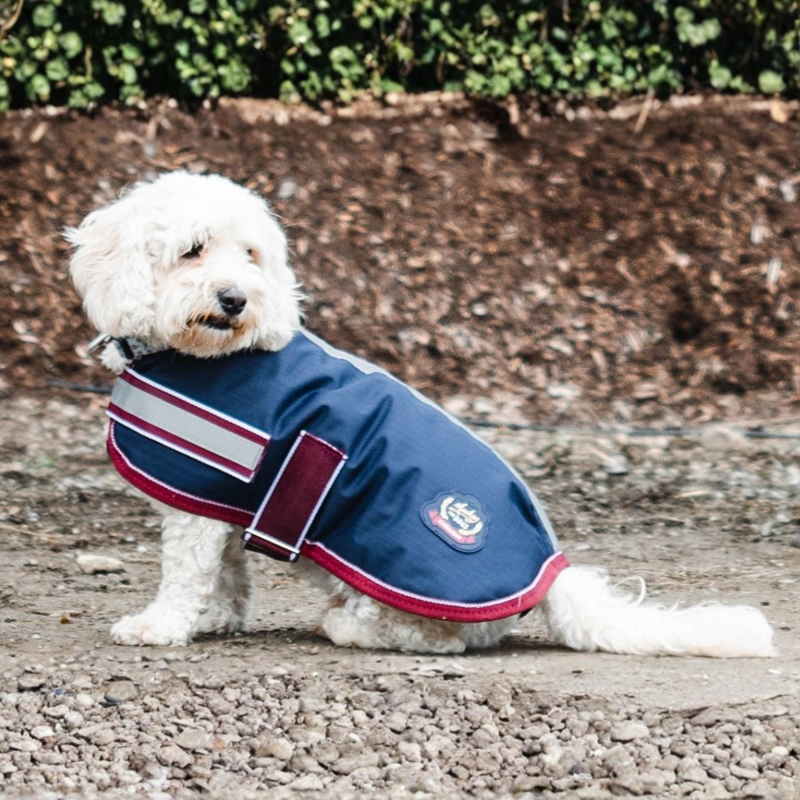 Mackey Buster Dog Coat - Navy/Burgundy-1