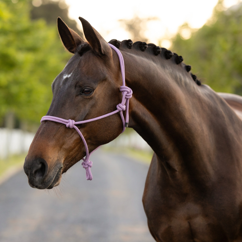 LeMieux Rope Halter - One Size - Fondant-1