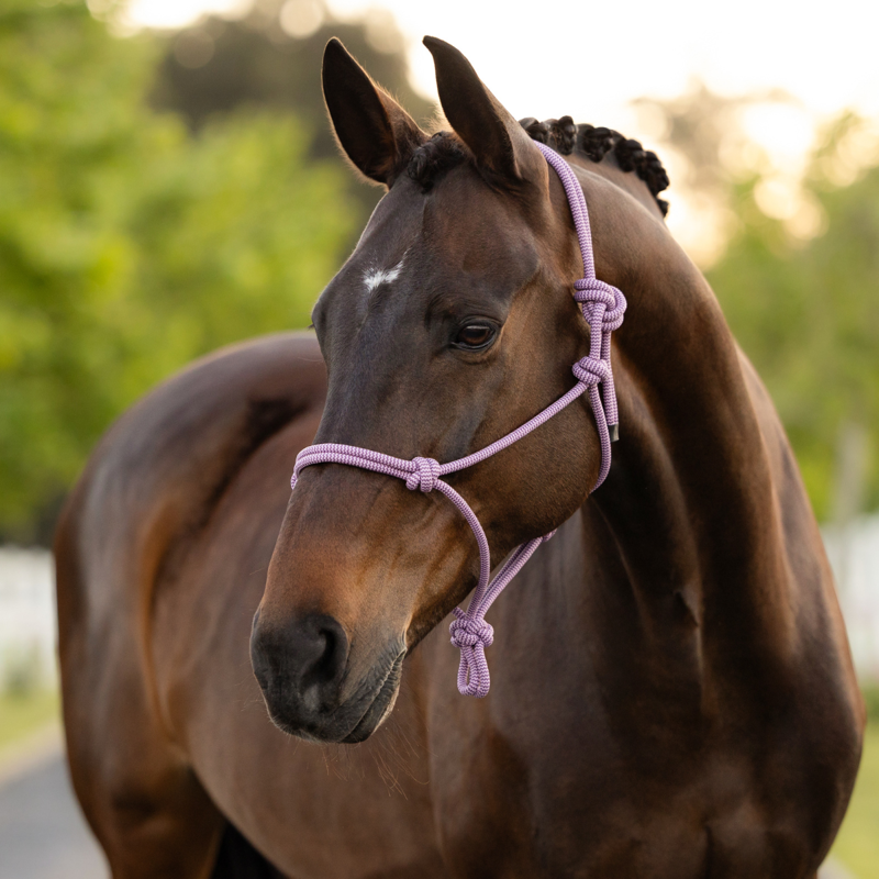 LeMieux Rope Halter - One Size - Fondant-2