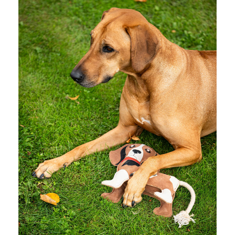 QHP Stable Buddy 3D Dog Toy - Beagle-1