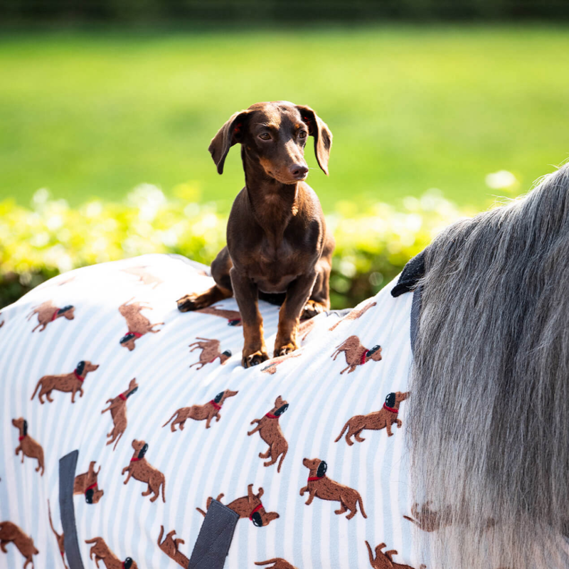 QHP Stable Buddy Fleece Rug - Dachshund-2