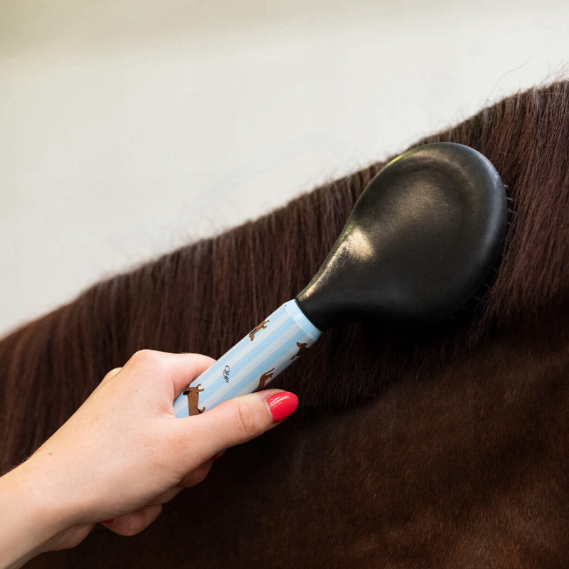 QHP Stable Buddy Grooming Set - Dachshund-2
