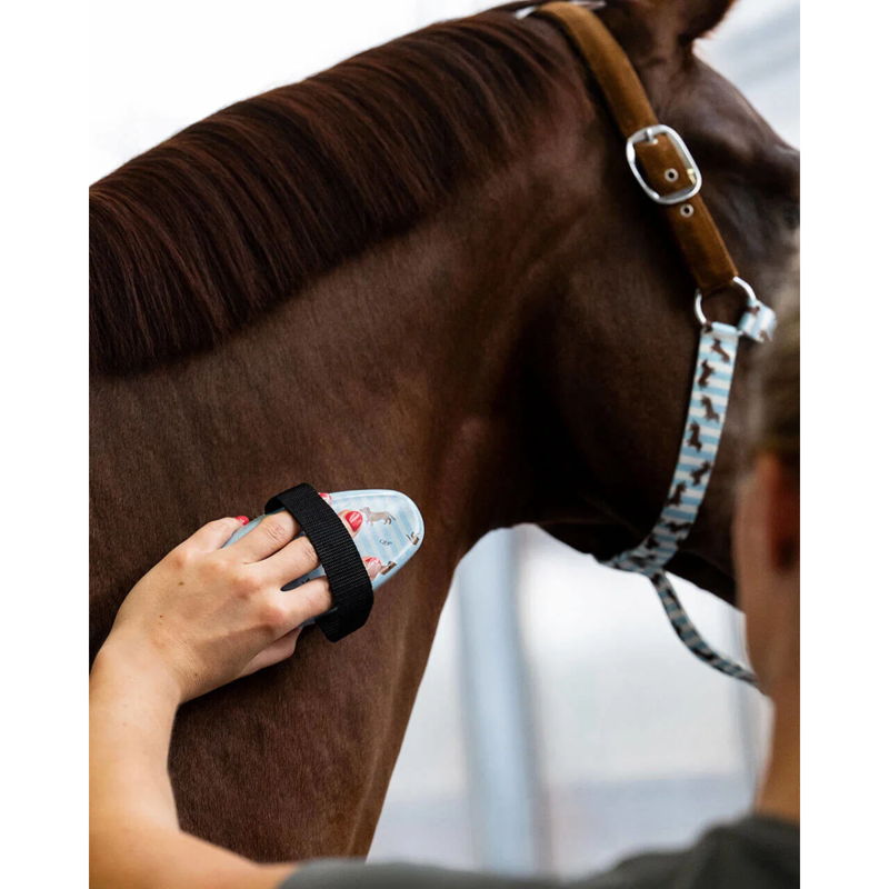 QHP Stable Buddy Grooming Set - Dachshund-3