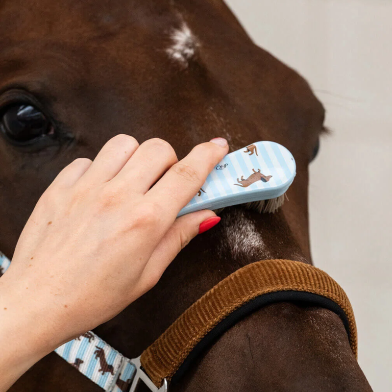QHP Stable Buddy Grooming Set - Dachshund-4