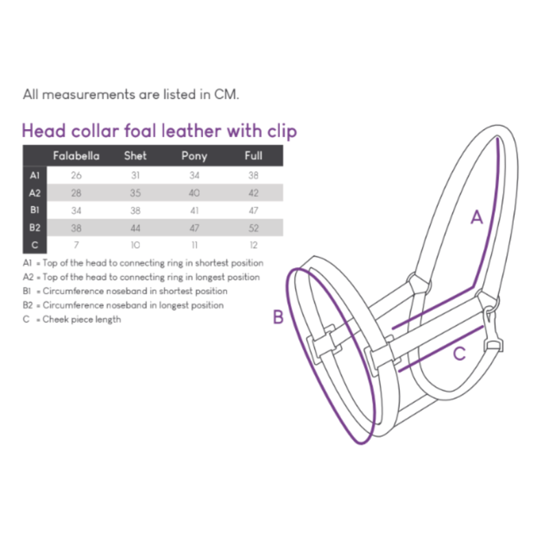 QHP Foal Leather Headcollar with Clip - White-1