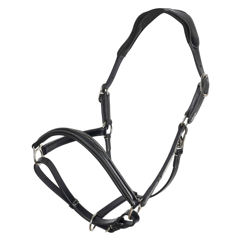 HV Polo Legacy Headcollar - Black-5