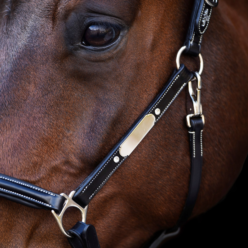 HV Polo Legacy Headcollar - Black-2
