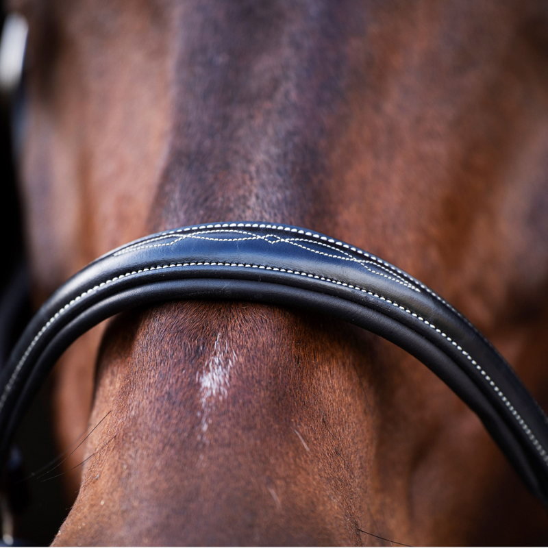 HV Polo Legacy Headcollar - Black-3
