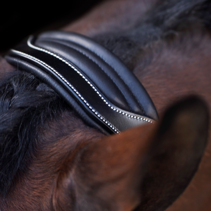 HV Polo Legacy Headcollar - Black-1