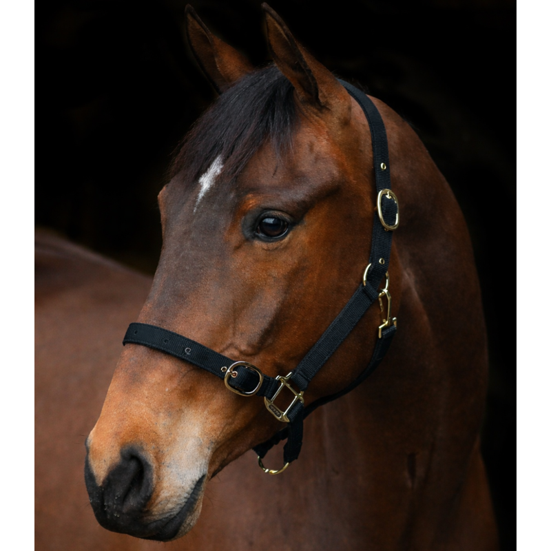 Equi-Sential Nylon Clip Headcollar - Black