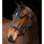 Equi-Sential Nylon Clip Headcollar - Navy