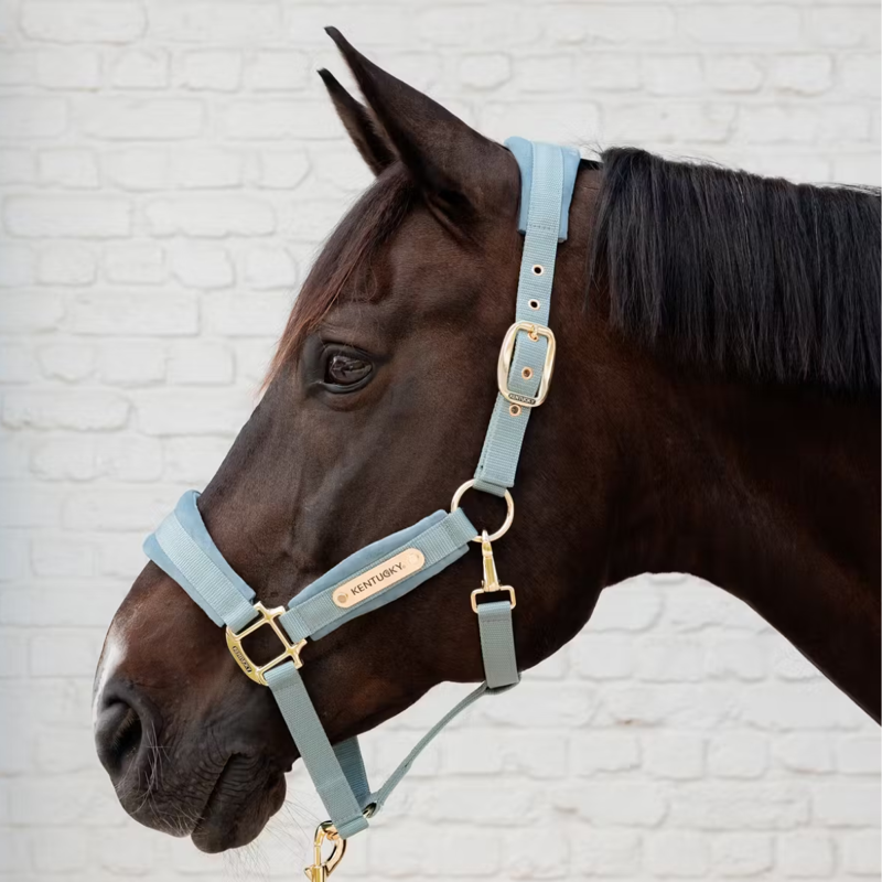 Kentucky Velvet Headcollar - Light Blue-1
