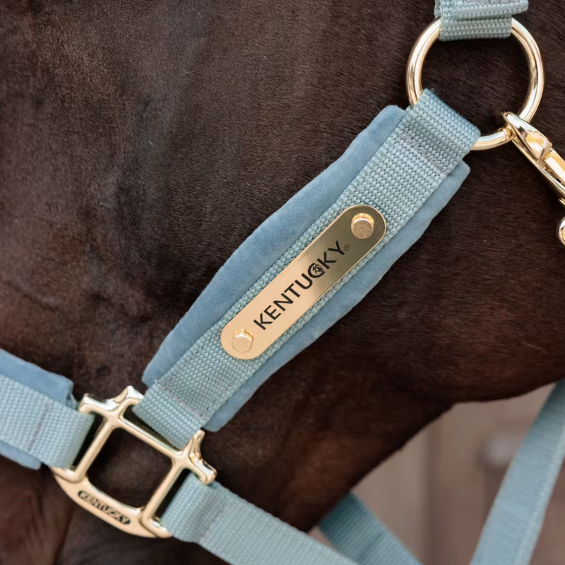 Kentucky Velvet Headcollar - Light Blue-2