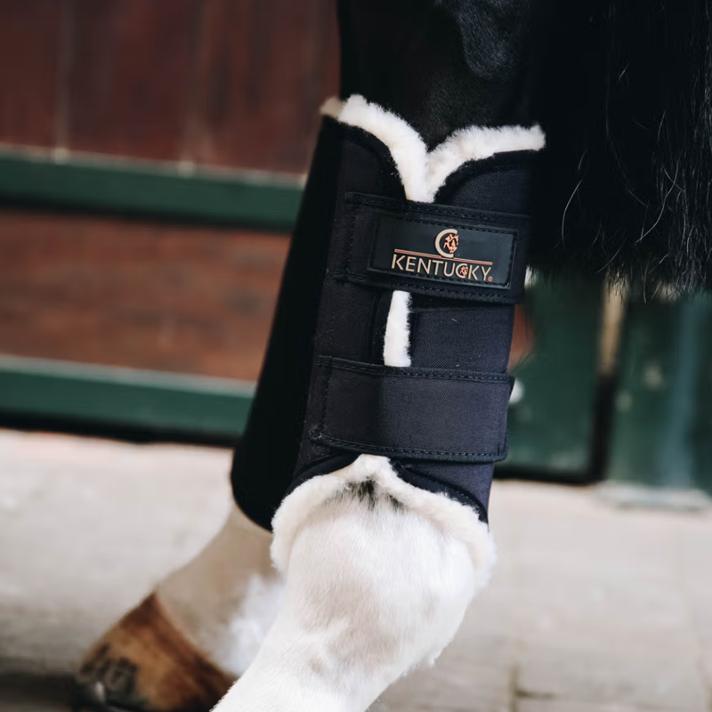 Kentucky Brushing Turnout Boots Hind  - Black-1