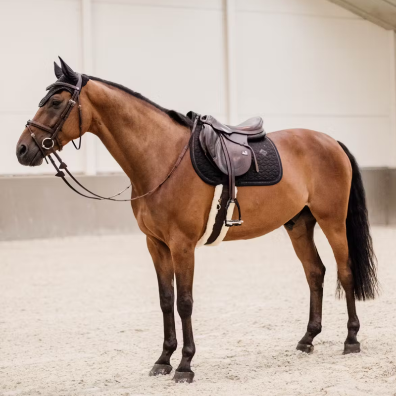 Kentucky Glitter Rope Jumping Saddlepad Full - Black-3