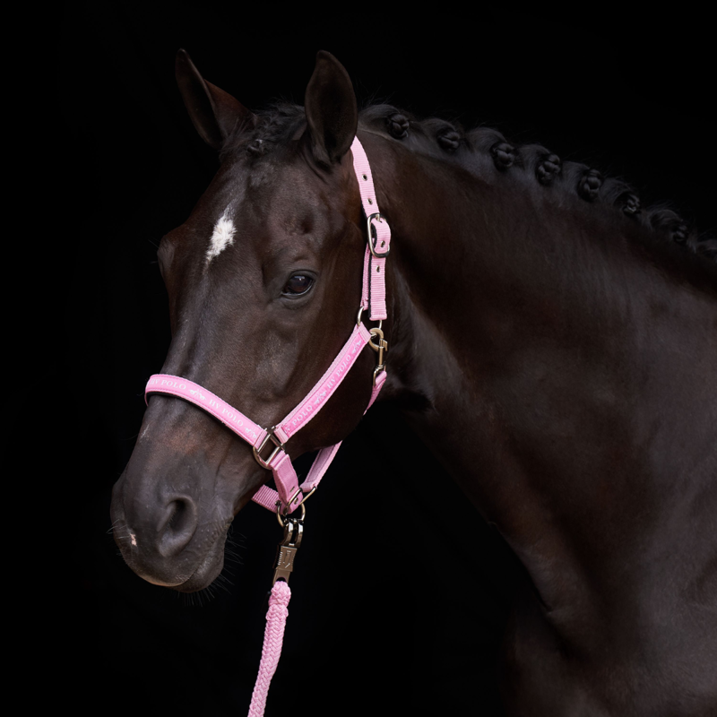 HV Polo Nena Headcollar - Pretty Pink-2