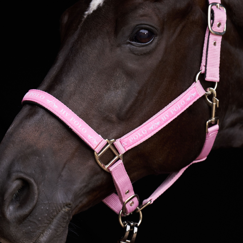 HV Polo Nena Headcollar - Pretty Pink-1