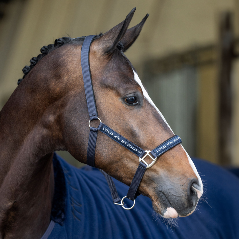 HV Polo Nena Headcollar - Navy-1