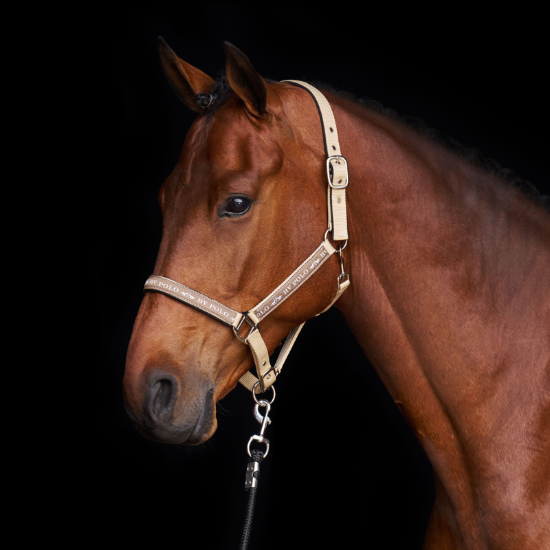 HV Polo Nena Headcollar - Tan-2