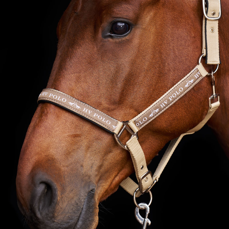 HV Polo Nena Headcollar - Tan-1