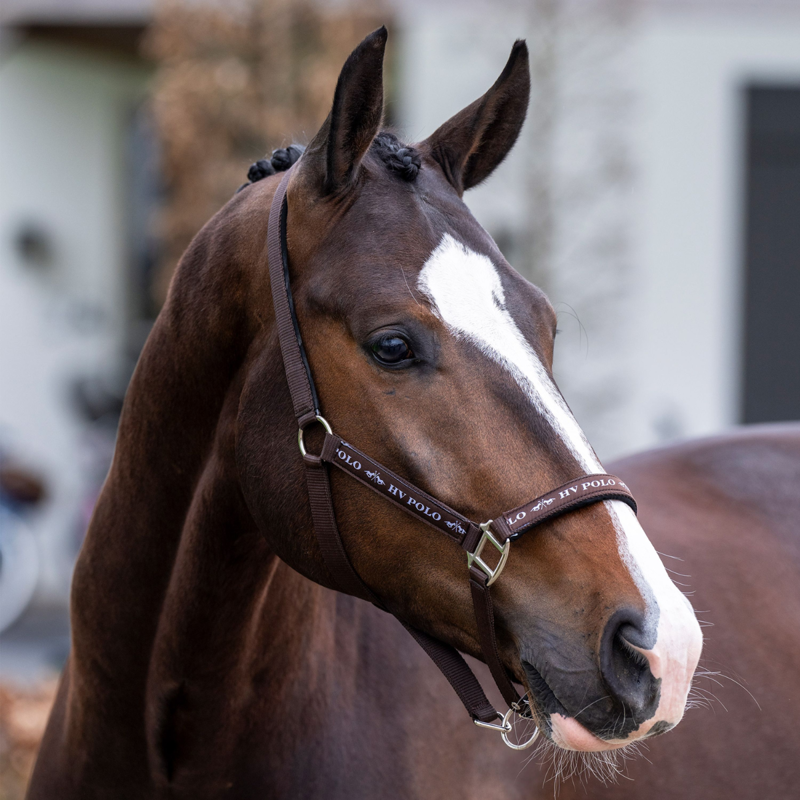 HV Polo Nena Headcollar - Brown-3