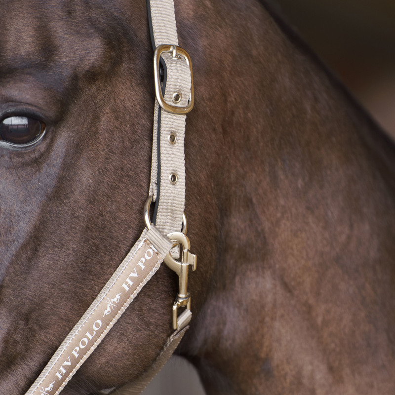 HV Polo Nena Headcollar - Pebble-2