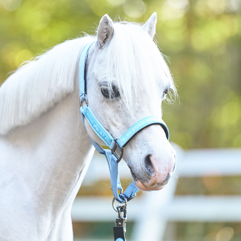 HV Polo Nena Headcollar - Powder Blue-1