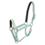 HV Polo Nena Headcollar - Aqua Sky