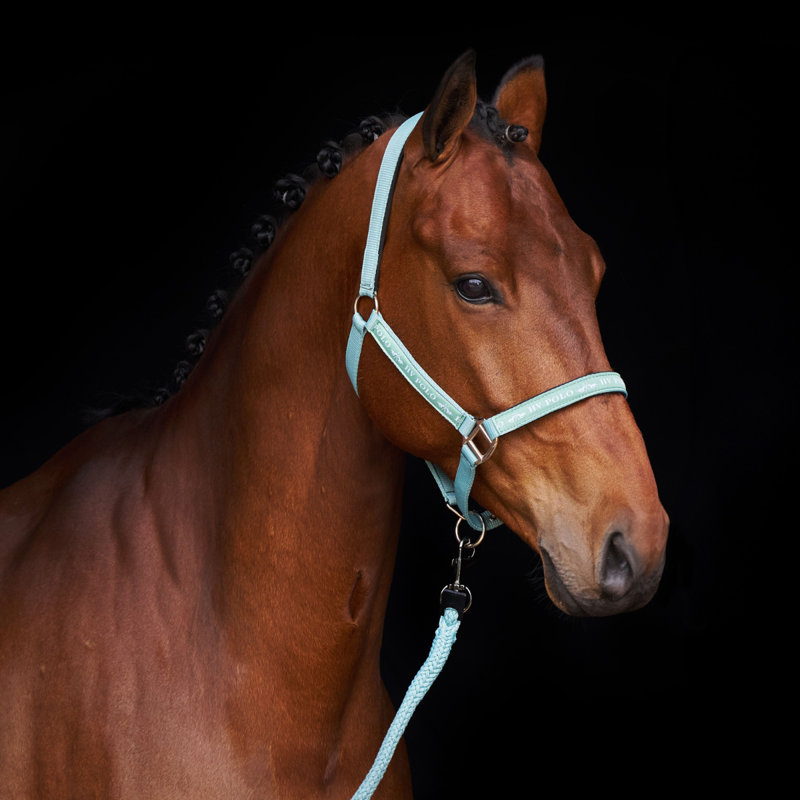 HV Polo Nena Headcollar - Aqua Sky-1
