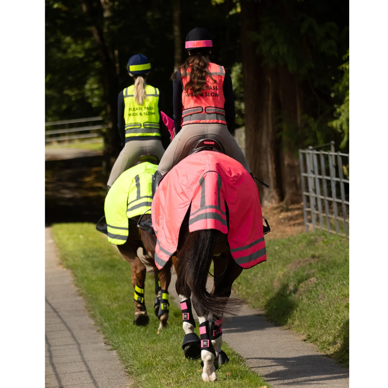 Woof Wear Winter Hi Vis Exercise Sheet - Hi Vis Pink-1