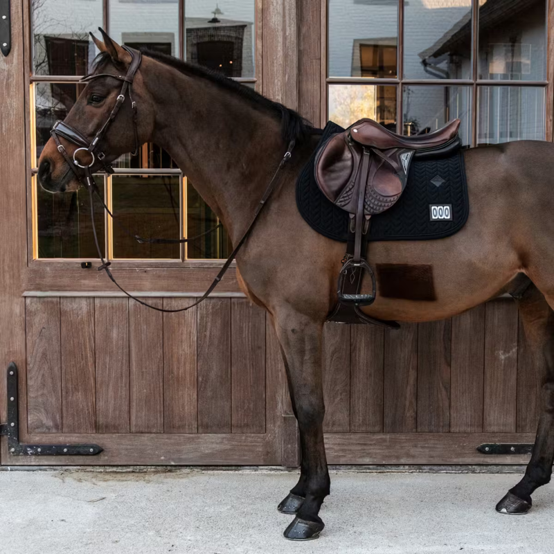 Kentucky Fishbone Competition Jumping Saddlepad - Black-3